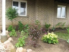 IMG 0095 01 001