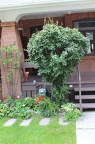 IMG 2754 01
